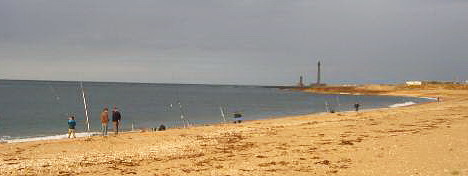 Fous de Pêche - Pêche au Surf - Phare de Gatteville - Cotentin